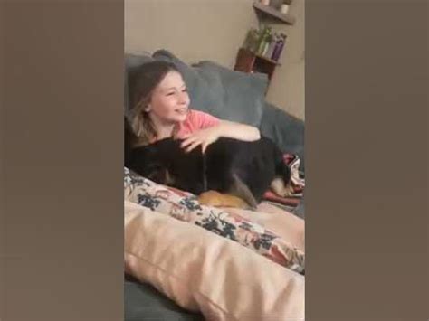 dog licking teen pussy|Teenage Girl Having Fun With Her Dog In Bedroom